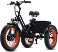 500W All-Terrain Fat Tire Electric Tricycle (48V / 20 MPH)