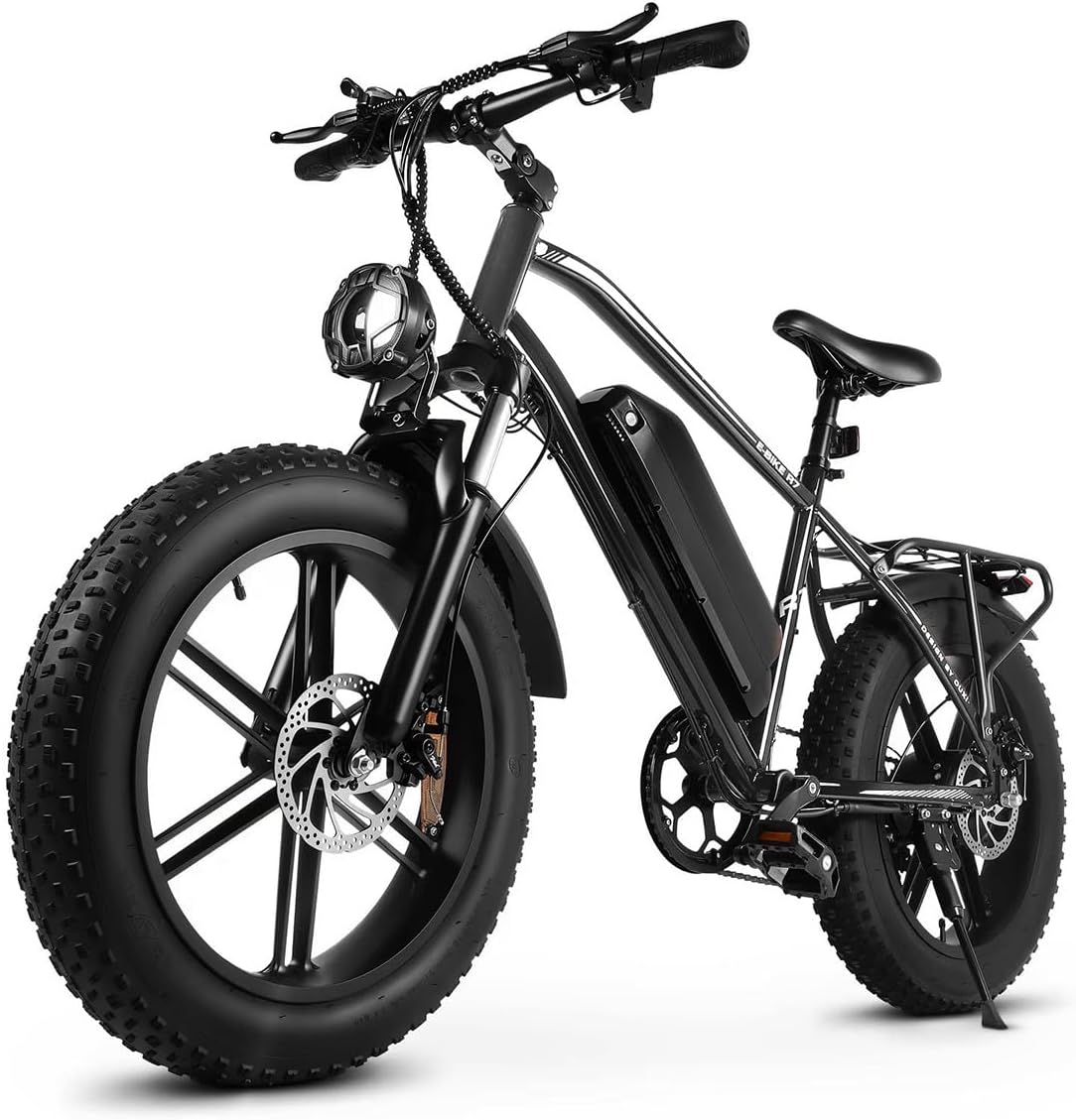 20" Fat Tire Electric Mountain Bike – 1000W Peak Motor, Removable 48V System & Integrated Rear Rack