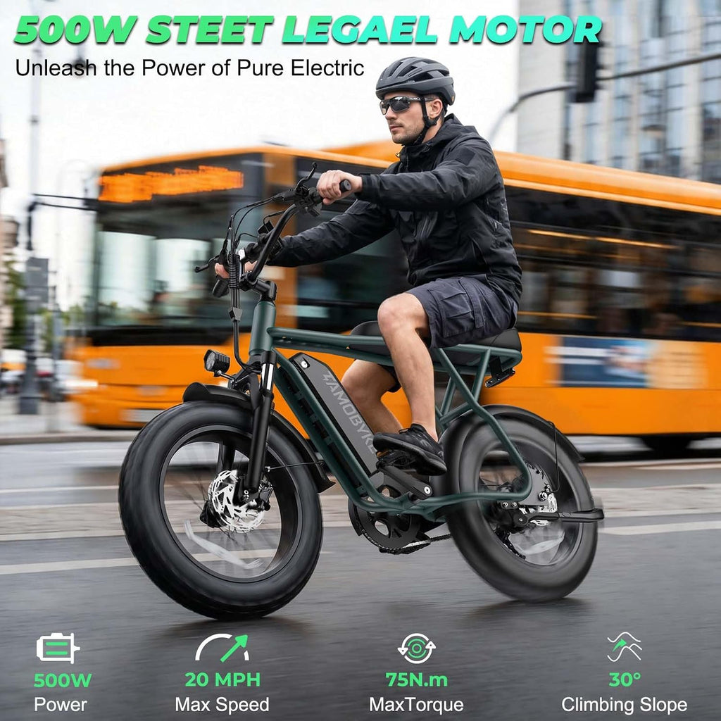 Electric Bike for Teens & Adults, 500W Motor Entry-Level Lightweight Ebike, 20 MPH, 20"x4" Fat Tire