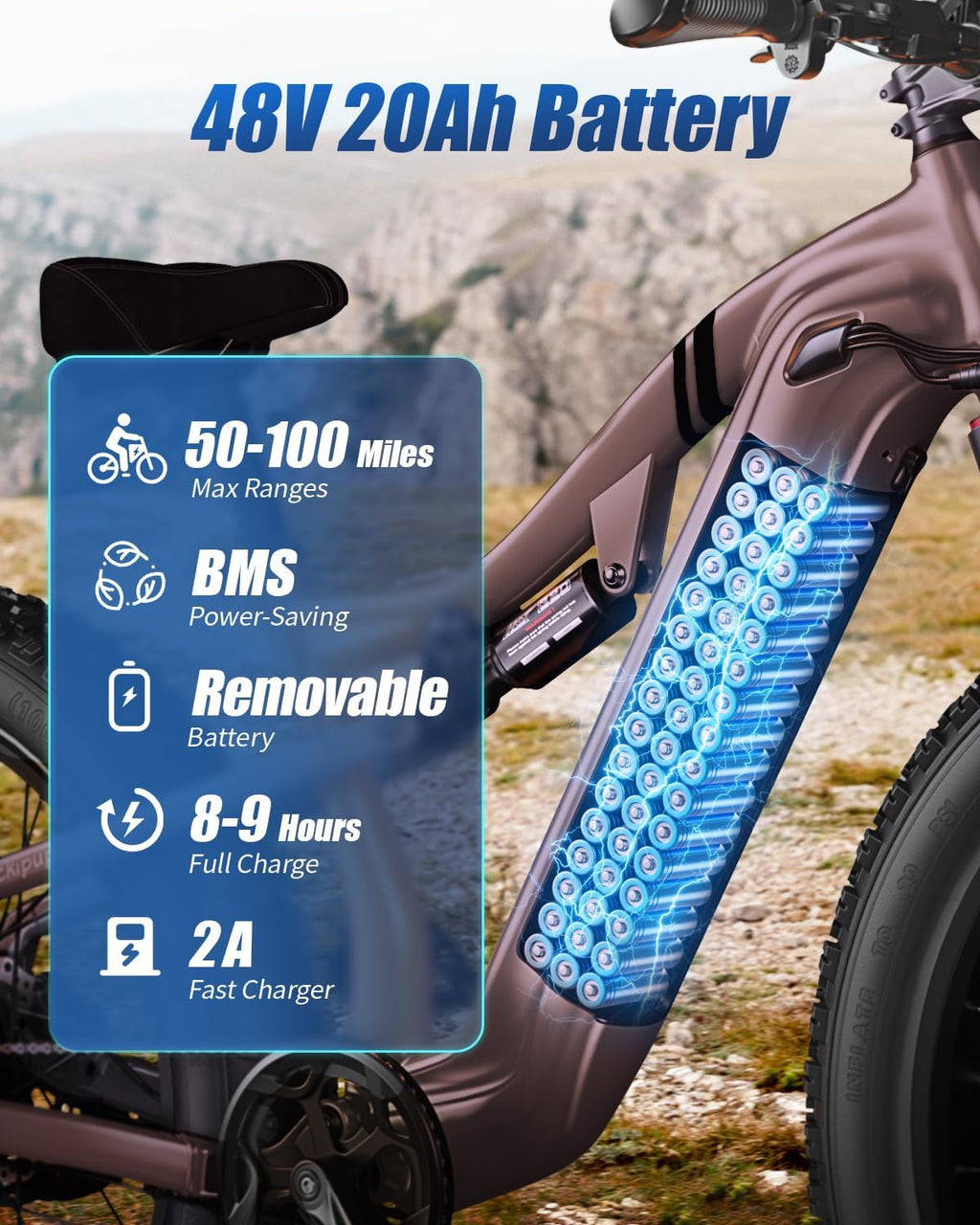1350W Peak Full Suspension Fat Tire E-Bike | 48V 20Ah Torque Sensor Off-Road Mountain Electric Bicycle
