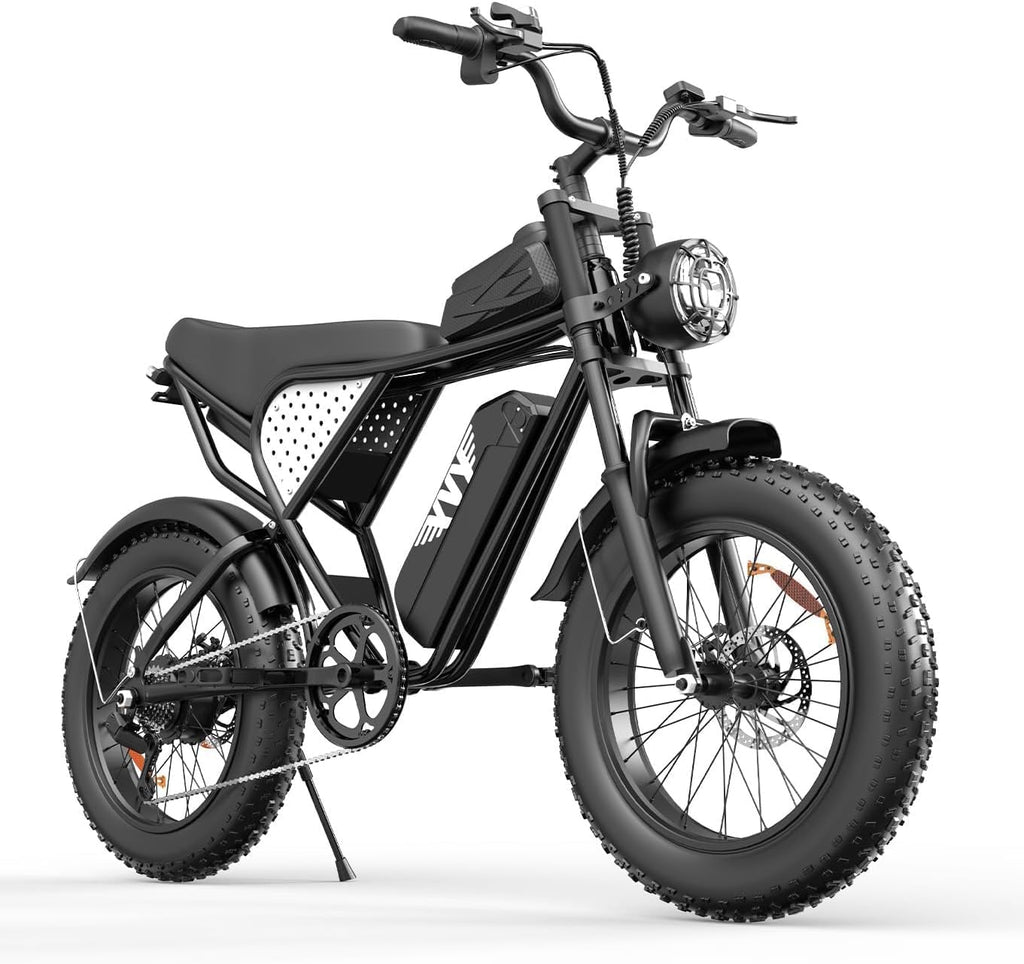 Electric Bike 1500W-3000W Peak Motor, 48V 15.6-40AH