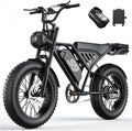 20" All-Terrain Fat Tire Electric Dirt Bike for Adults – 2500W Peak Motor, 48V 20Ah Removable Battery, NFC & Password Lock E-Bike