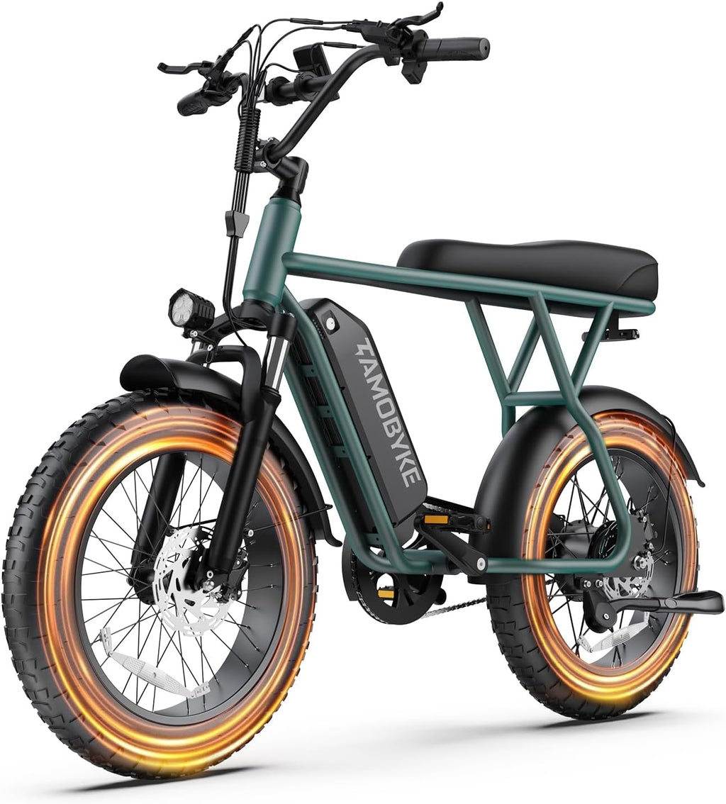 Electric Bike for Teens & Adults, 500W Motor Entry-Level Lightweight Ebike, 20 MPH, 20"x4" Fat Tire