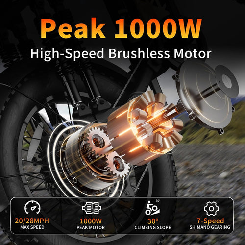 1200W Peak Adult Electric Mountain Dirt Bike | 20" Fat Tire Full-Suspension E-Bike
