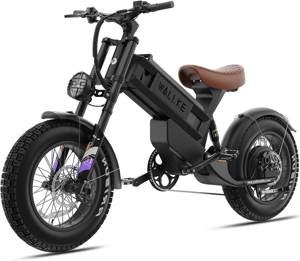 High-Performance Long-Range All-Terrain Electric Bike