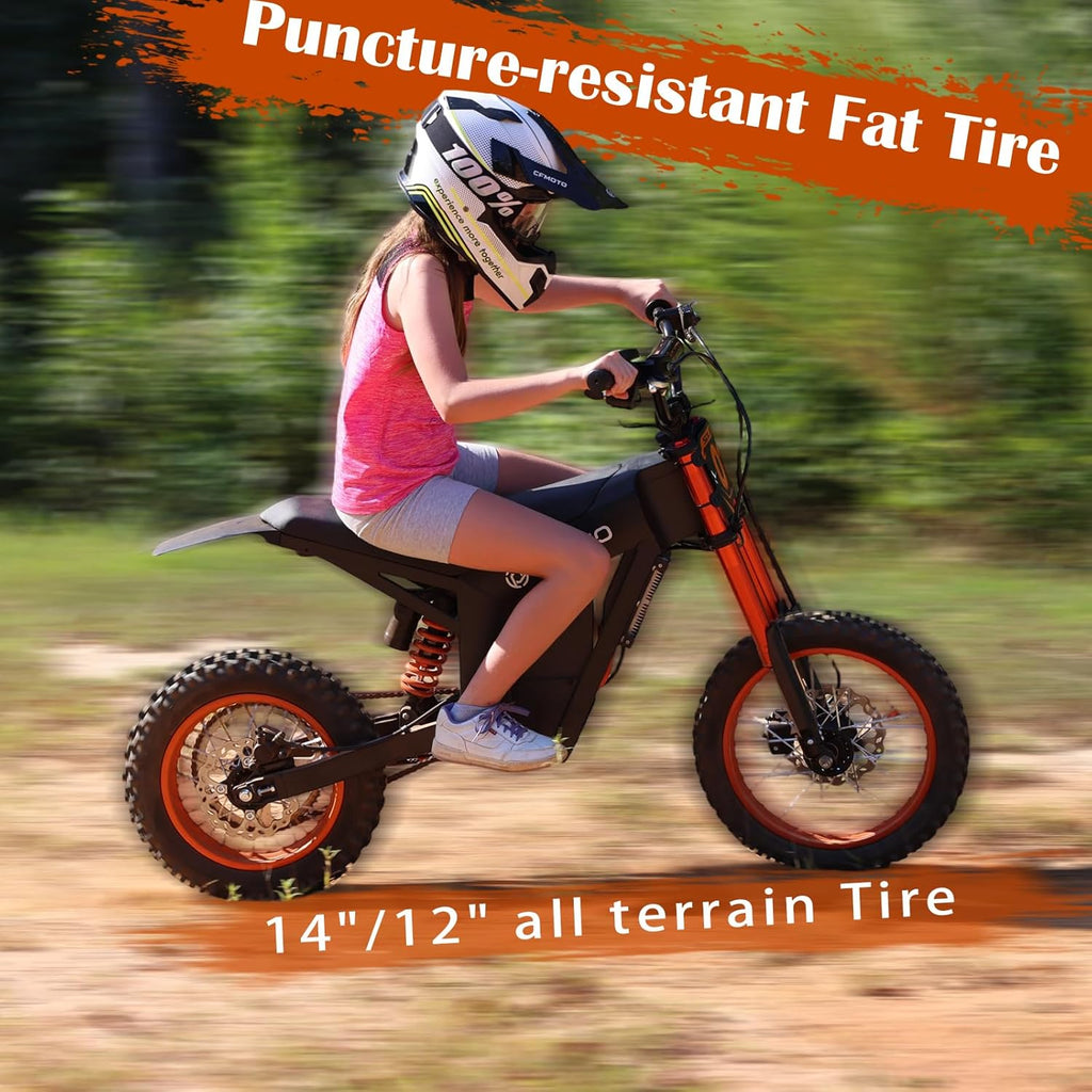 Electric Dirt Bike Adults 2000W Electric Bike 48V 21AH Removable