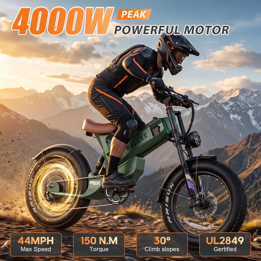 High-Performance Long-Range All-Terrain Electric Bike
