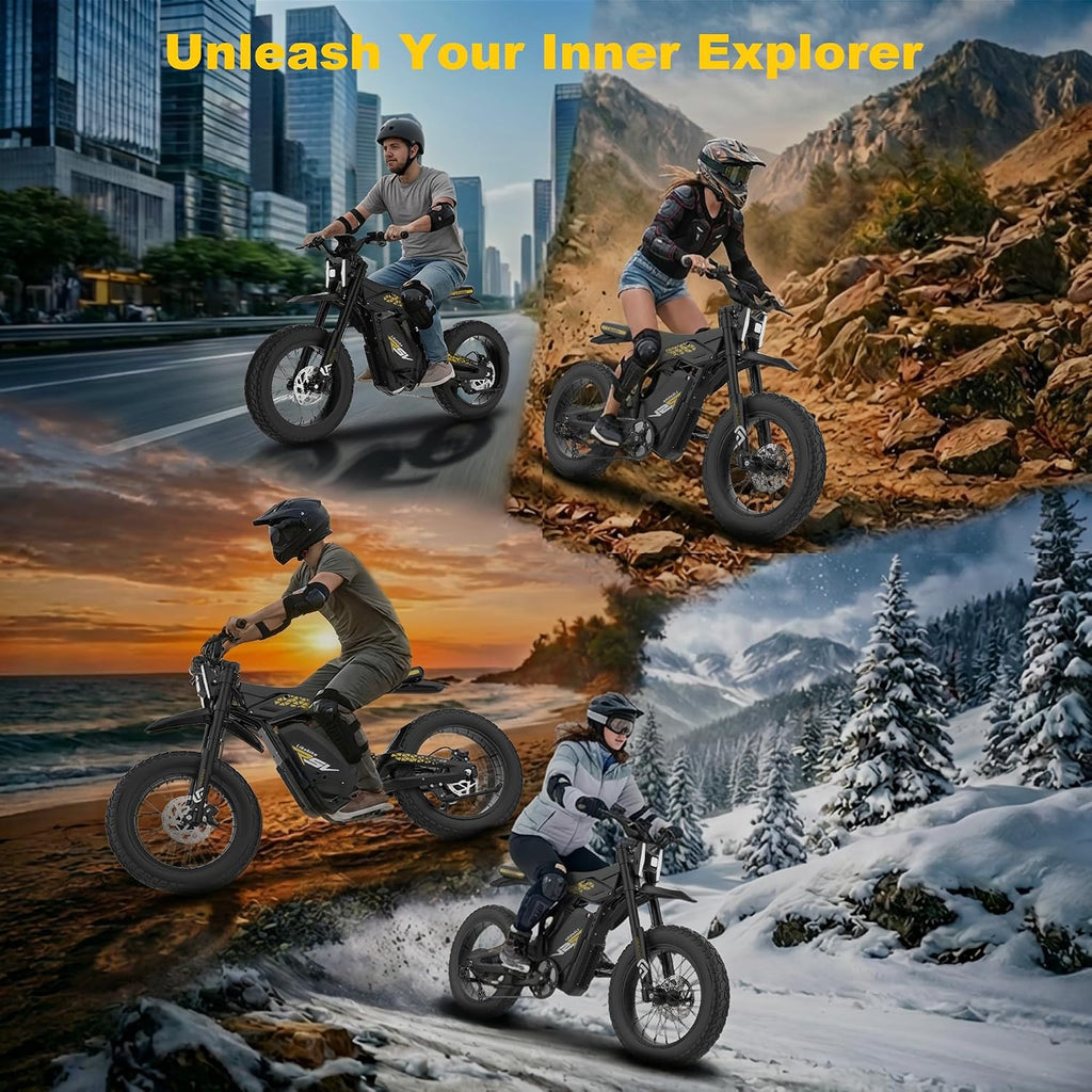 Electric Dirt Bike 2000W/3000W, 48V 23Ah