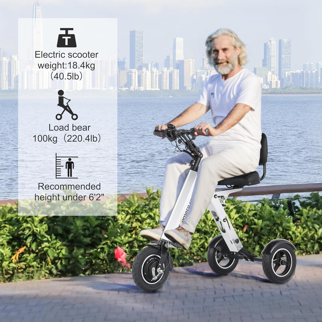 3-Wheel Foldable Electric Tricycle with Backrest Seat