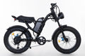 High-Speed Off-Road Fat Tire Electric Mountain Bike | Dual Headlights & 7-Speed