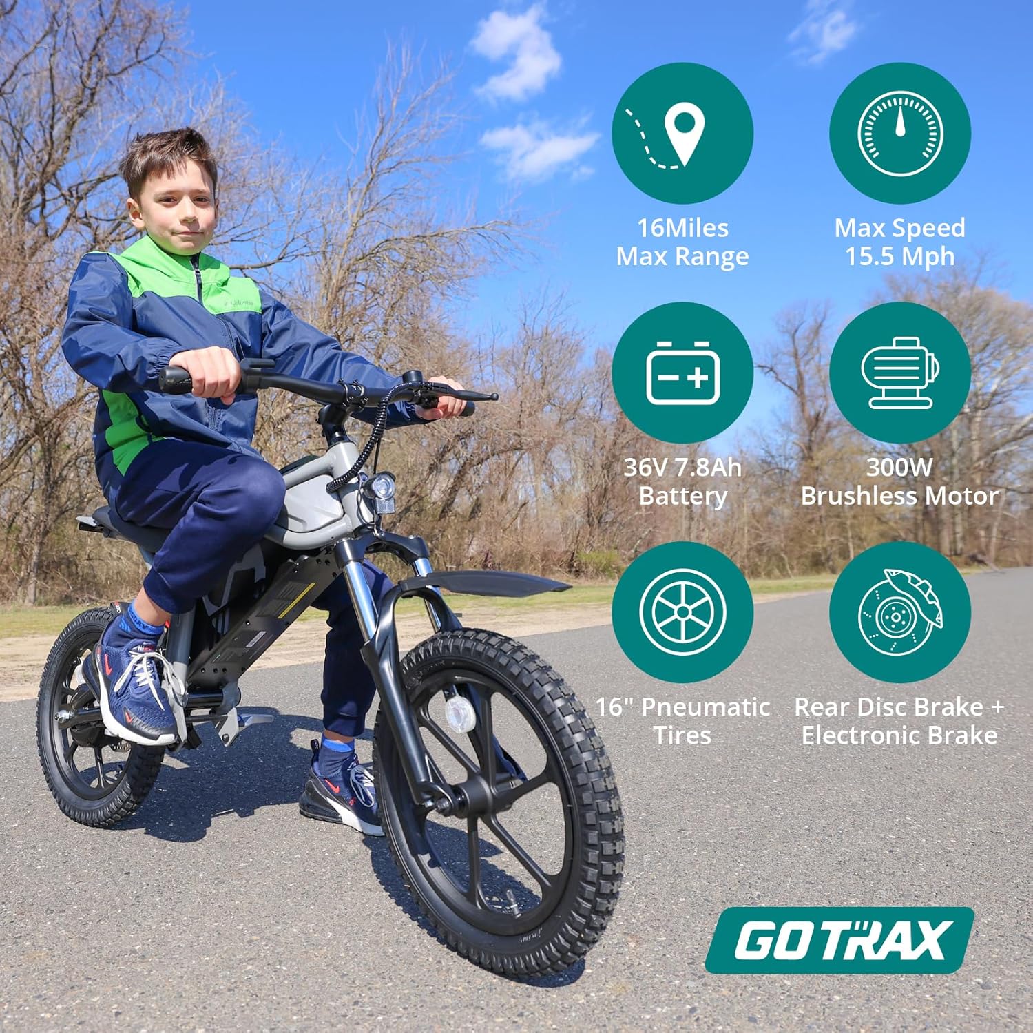 Electric Dirt Bike, 16" Pneumatic Tires, Max 16 Mile and 15.5Mph Speed Power by 300W Brushless Motor
