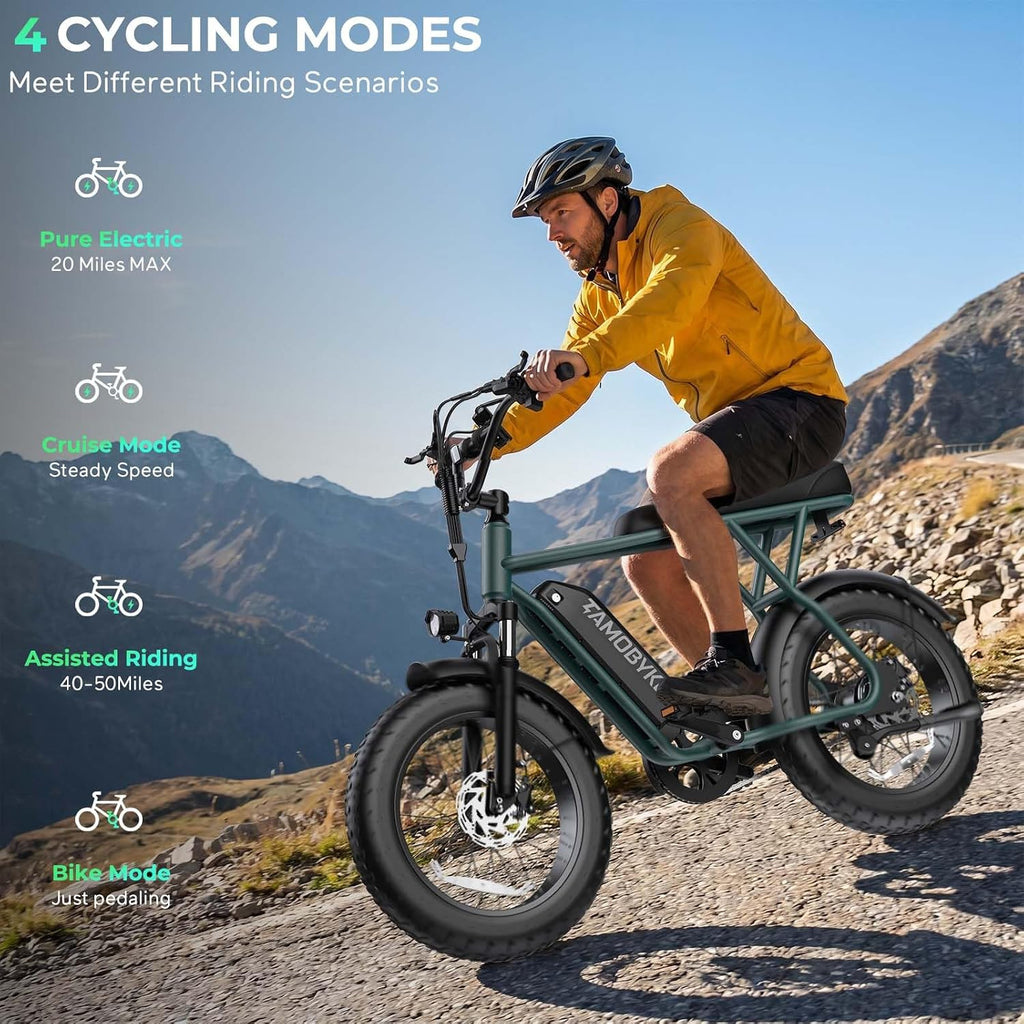 Electric Bike for Teens & Adults, 500W Motor Entry-Level Lightweight Ebike, 20 MPH, 20"x4" Fat Tire