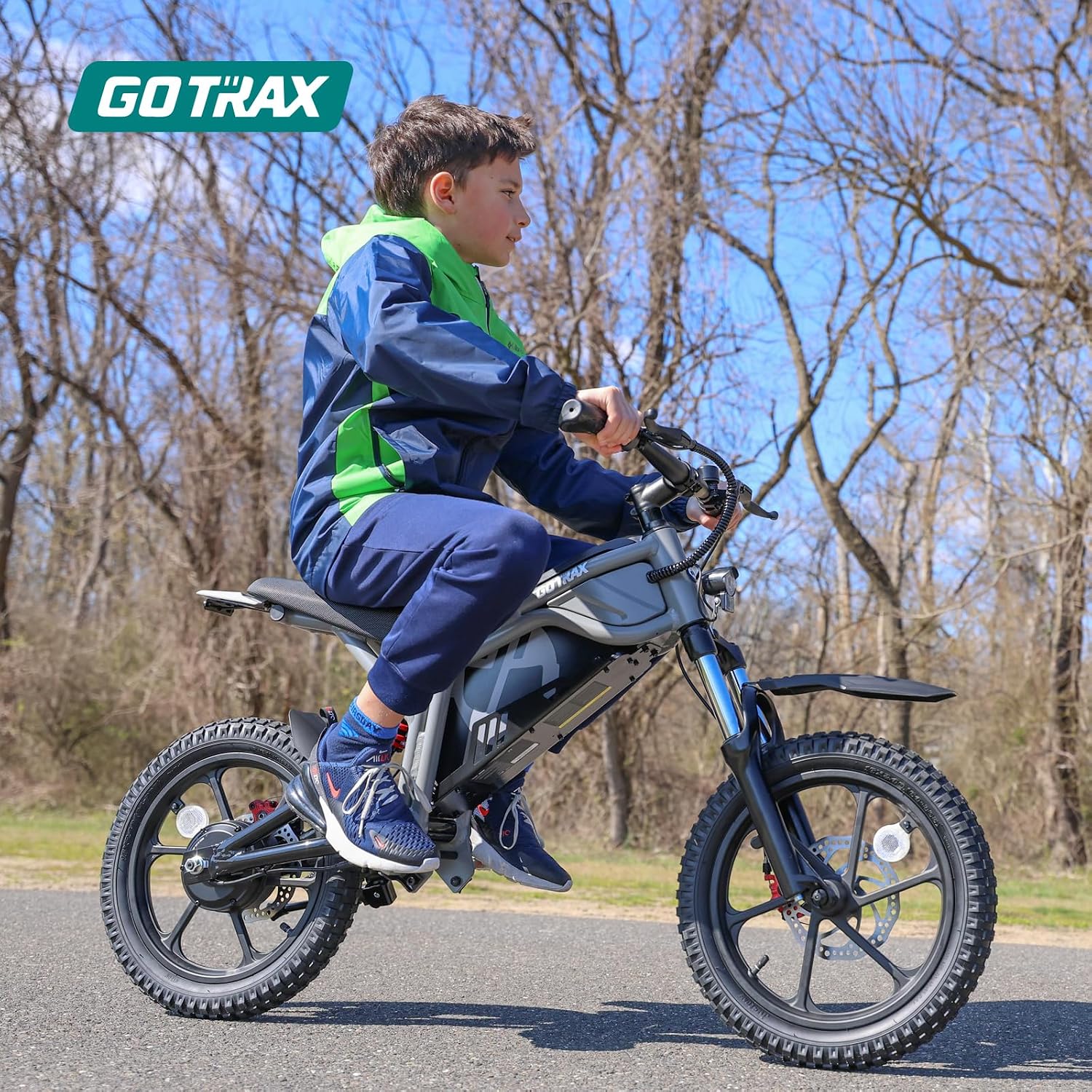 Electric Dirt Bike, 16" Pneumatic Tires, Max 16 Mile and 15.5Mph Speed Power by 300W Brushless Motor