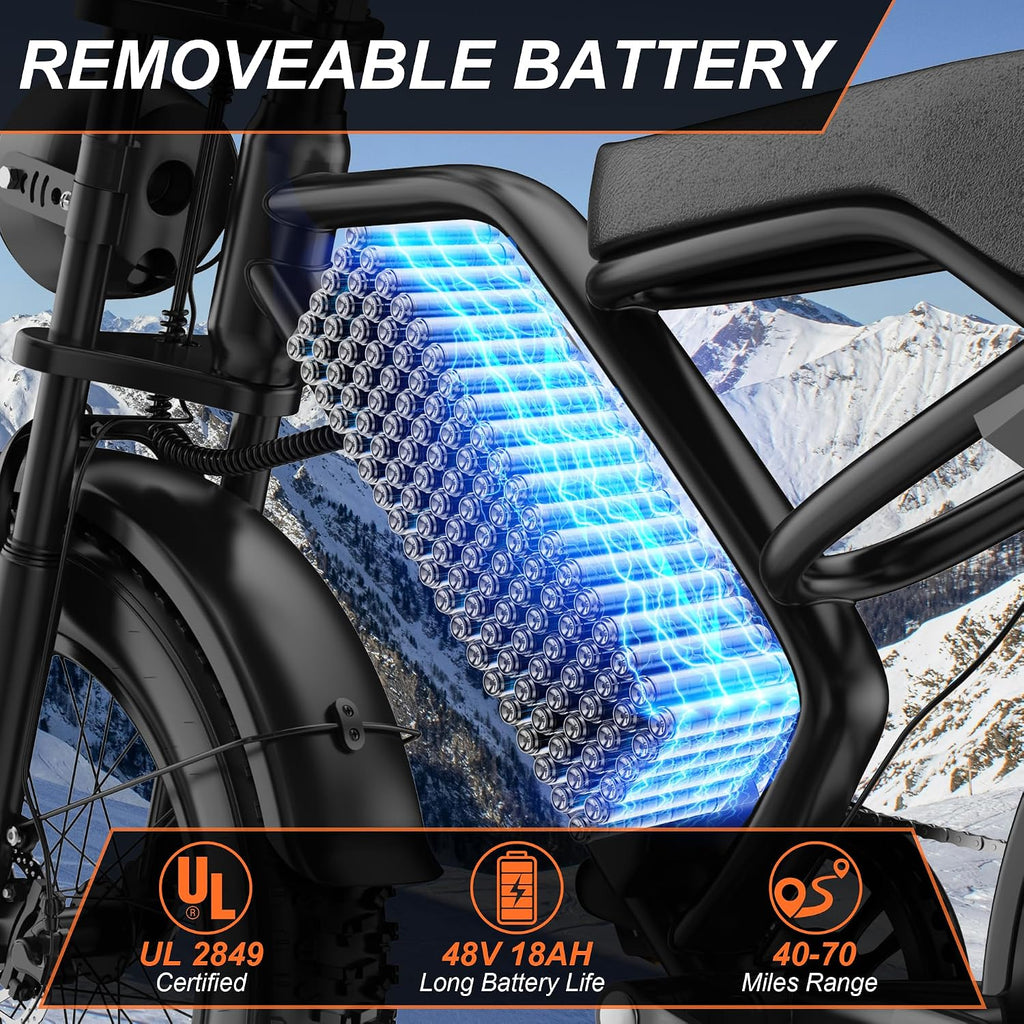 20" Dual-Suspension Fat Tire Electric Dirt Bike – 750W 2-Seater Cargo E-Bike (48V, 70-Mile Range)