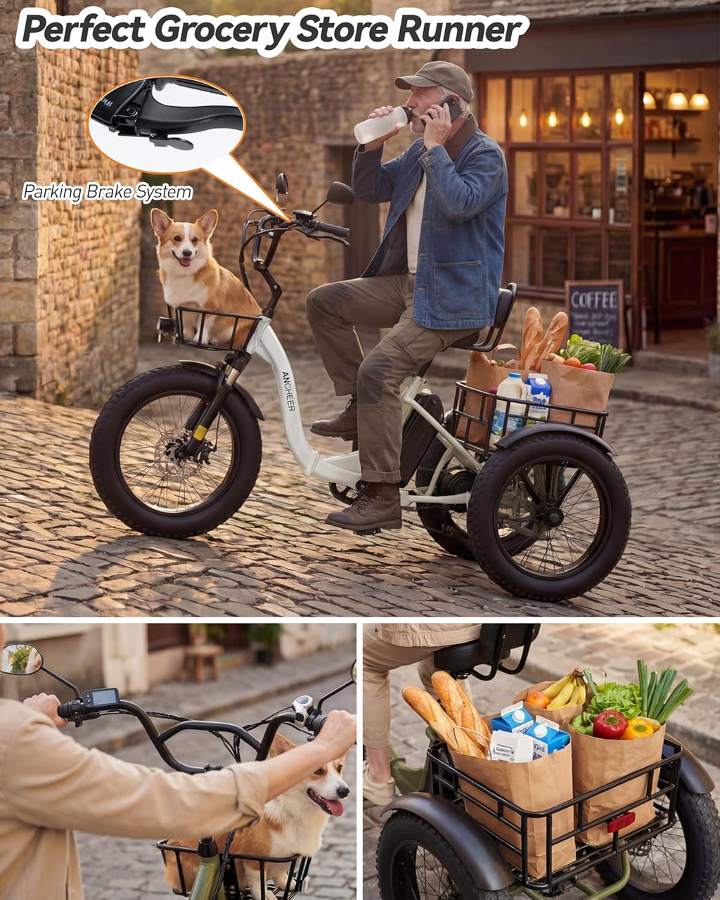 20" Fat Tire Adult Electric Tricycle – 749W Motor, 3-Wheel E-Trike with Cargo Capacity