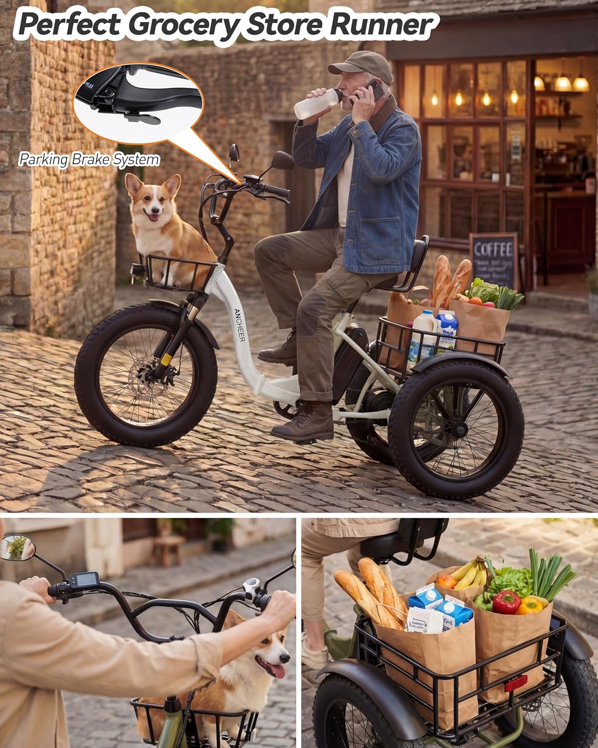 20" Fat Tire Adult Electric Tricycle – 749W Motor, 3-Wheel E-Trike with Cargo Capacity