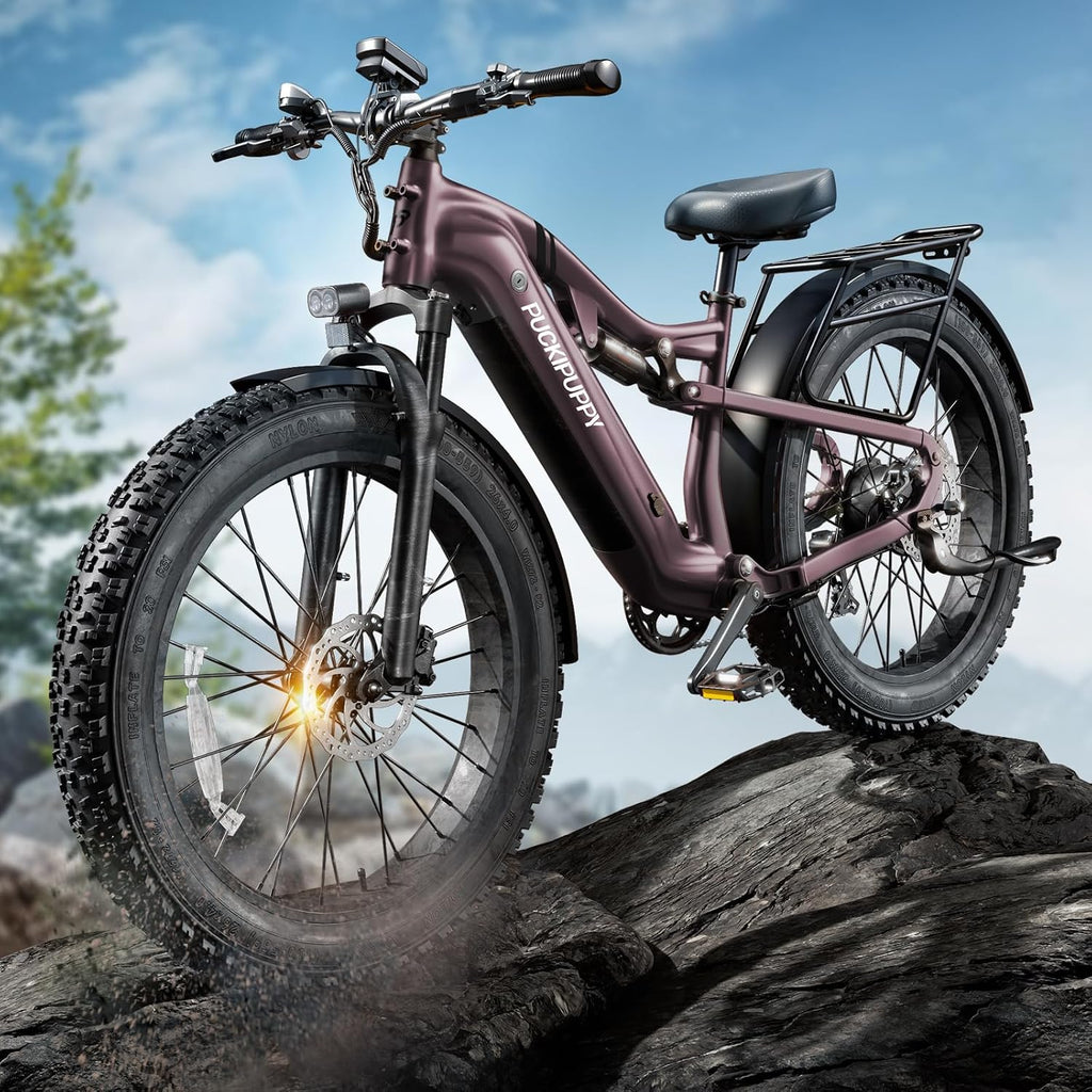 1350W Peak Full Suspension Fat Tire E-Bike | 48V 20Ah Torque Sensor Off-Road Mountain Electric Bicycle