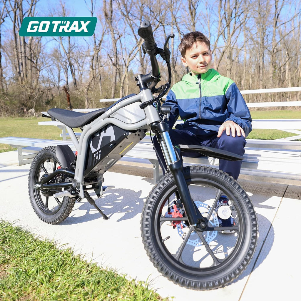 Electric Dirt Bike, 16" Pneumatic Tires, Max 16 Mile and 15.5Mph Speed Power by 300W Brushless Motor