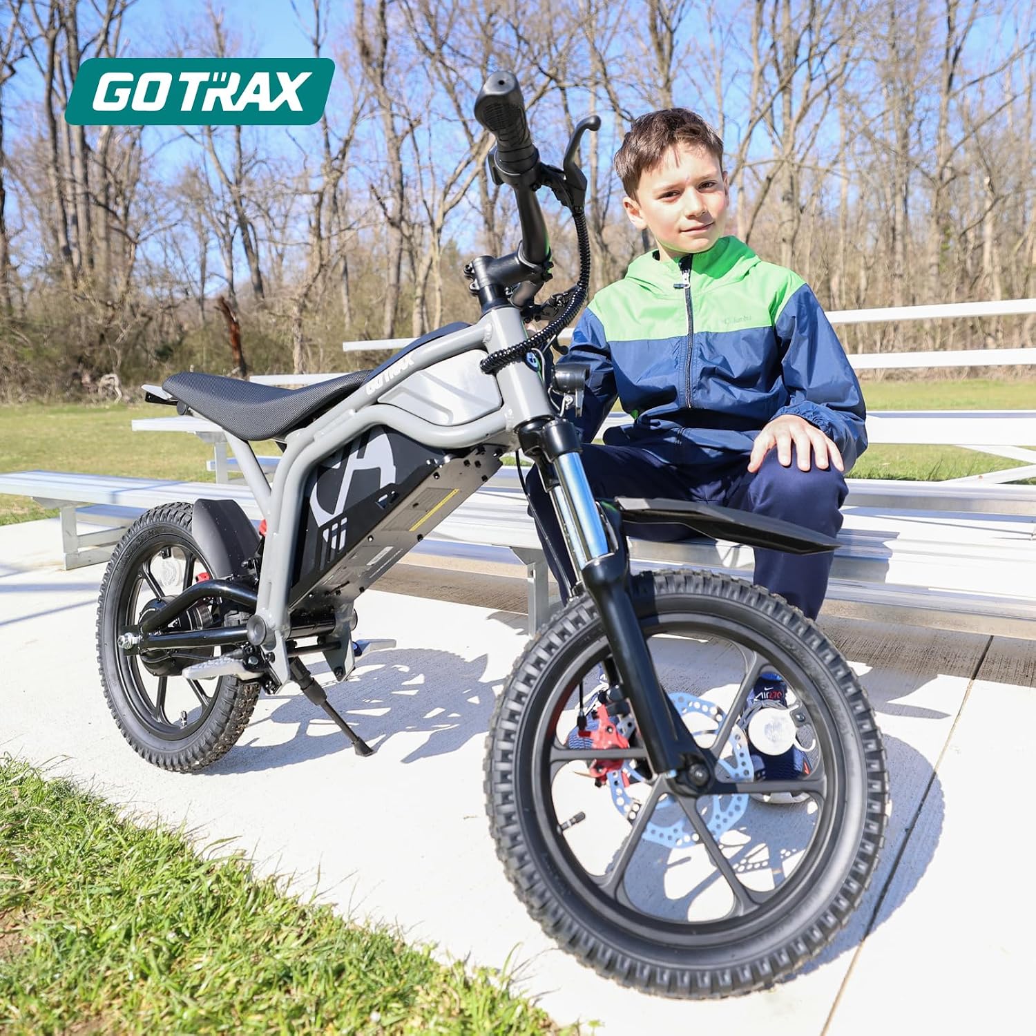 Electric Dirt Bike, 16" Pneumatic Tires, Max 16 Mile and 15.5Mph Speed Power by 300W Brushless Motor