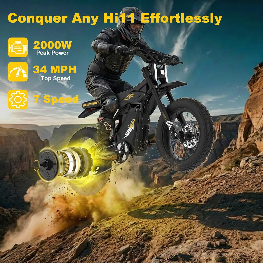 Electric Dirt Bike 2000W/3000W, 48V 23Ah
