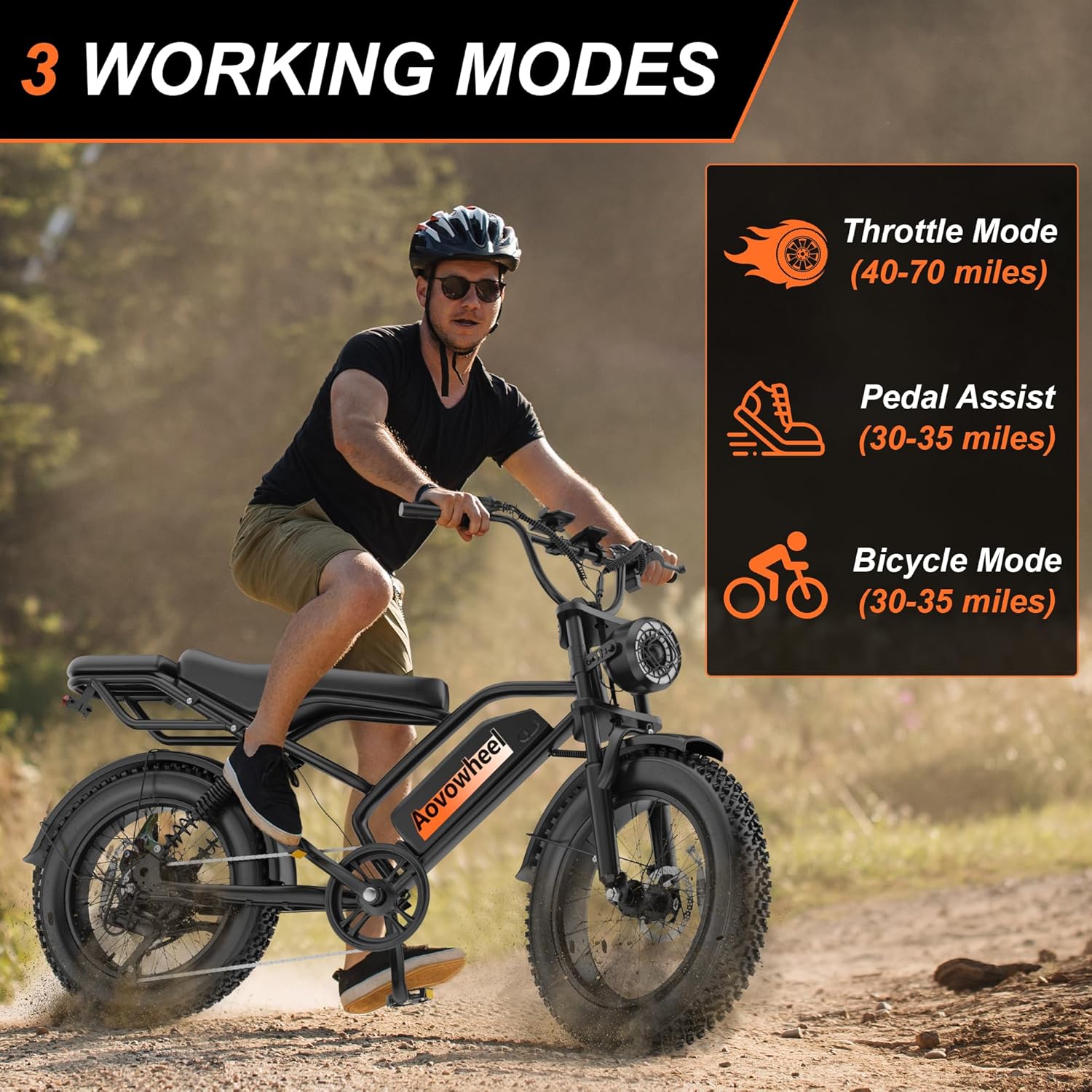 20" Dual-Suspension Fat Tire Electric Dirt Bike – 750W 2-Seater Cargo E-Bike (48V, 70-Mile Range)