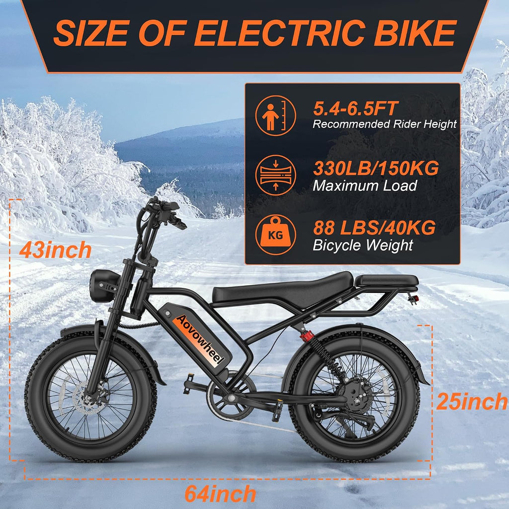 20" Dual-Suspension Fat Tire Electric Dirt Bike – 750W 2-Seater Cargo E-Bike (48V, 70-Mile Range)