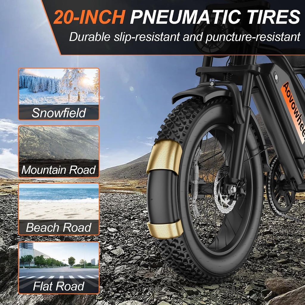 20" Dual-Suspension Fat Tire Electric Dirt Bike – 750W 2-Seater Cargo E-Bike (48V, 70-Mile Range)