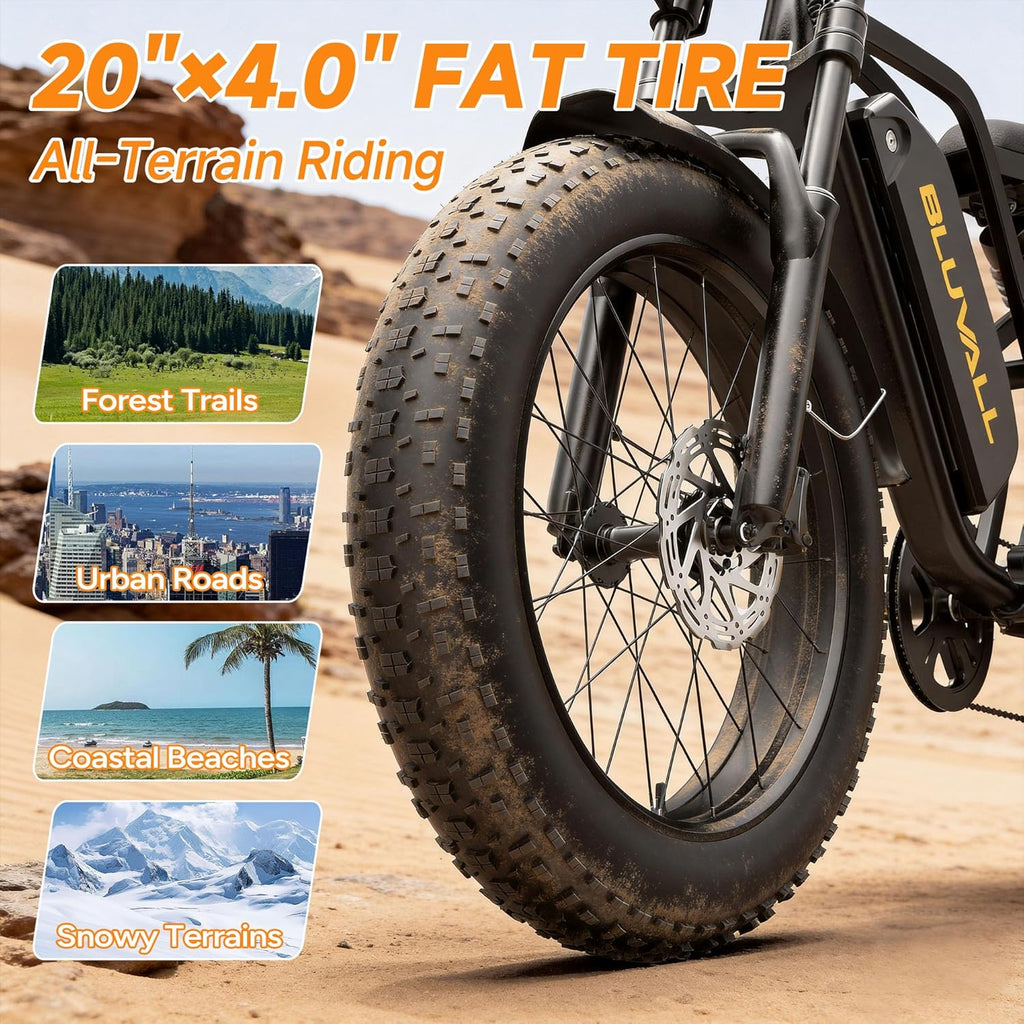 Electric Bike for Adults，Peak 1500W e Bike，20" x 4.0 Fat Tire, 52V20AH