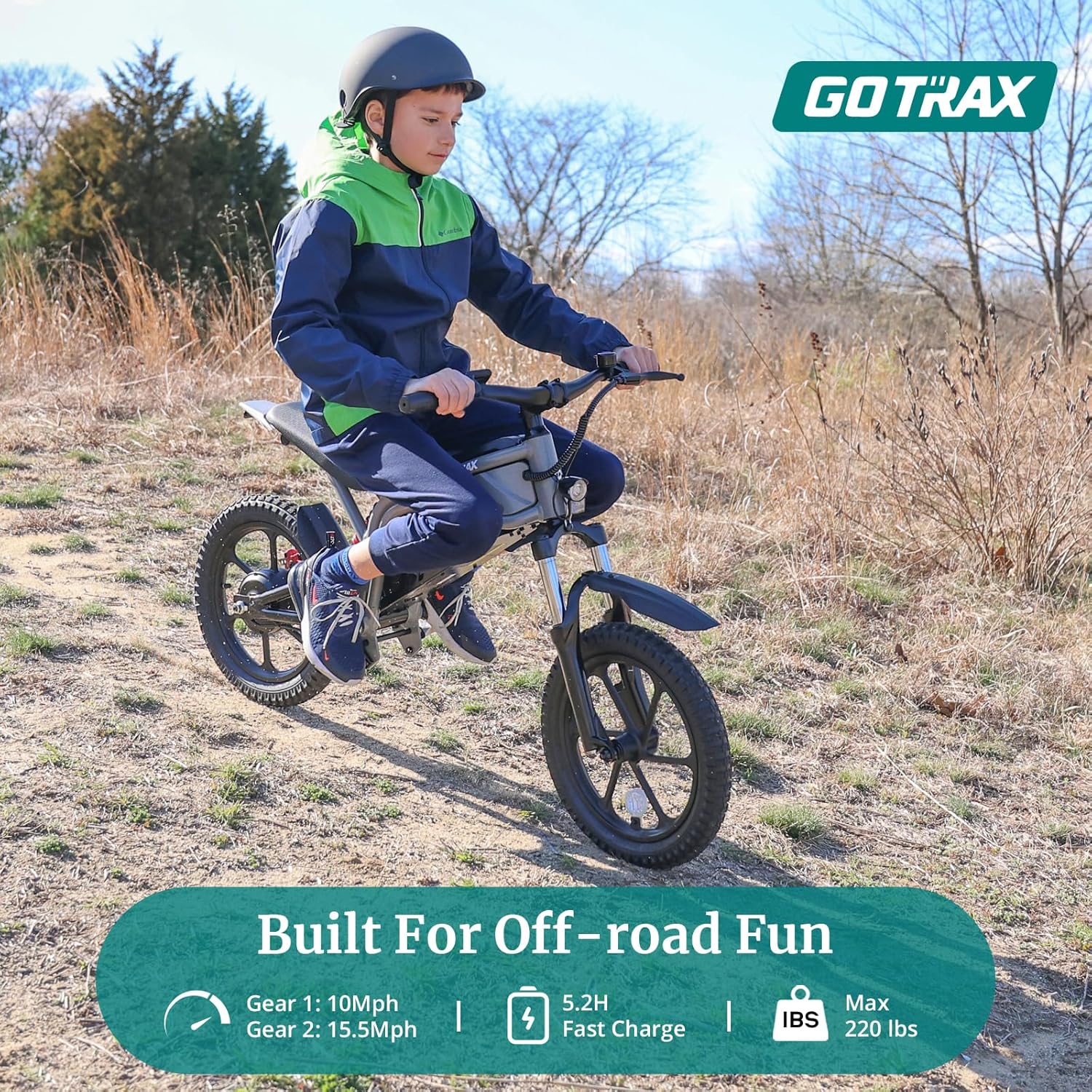 Electric Dirt Bike, 16" Pneumatic Tires, Max 16 Mile and 15.5Mph Speed Power by 300W Brushless Motor
